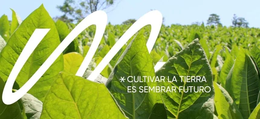 Provincia de Misiones